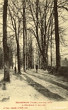 Remiremont, Altitude 406m. - La Promenade du Calvaire